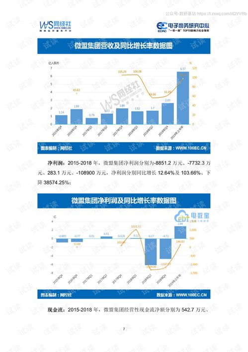 2019年新上市17家電子商務(wù)公司數(shù)據(jù)報(bào)告精品報(bào)告.pdf